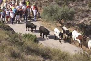 fiestas_toros_lietor_rutas